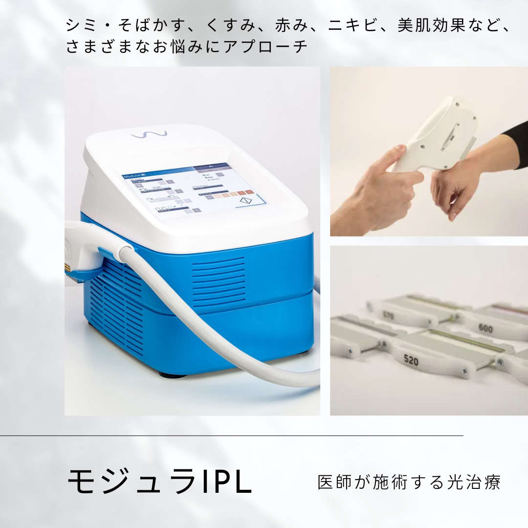 モジュラIPL